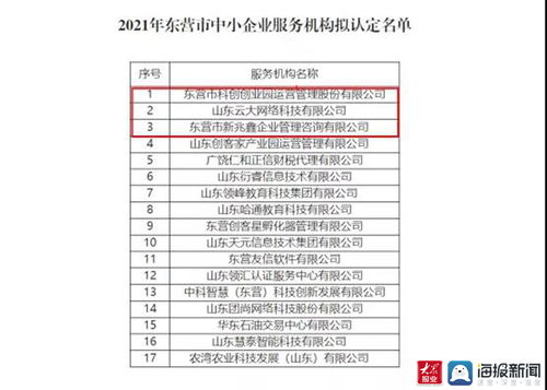 東營高新區再添新翼 三家市級中小企業服務機構獲認定，聚焦計算機軟硬件開發與銷售