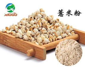 天津秀谷生物 專業廠直銷干燥薏米粉，打造健康食品新選擇